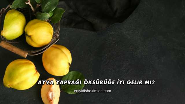 Ayva Yaprağı Öksürüğe İyi Gelir mi?