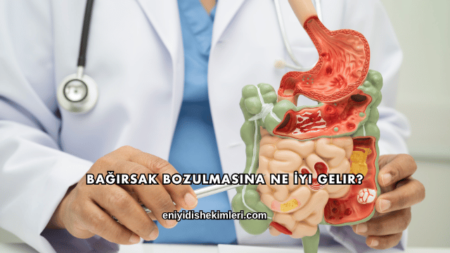 Bağırsak Bozulmasına Ne İyi Gelir?