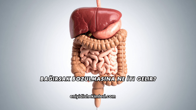 Bağırsak Bozulmasına Ne İyi Gelir?