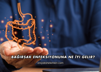 Bağırsak Enfeksiyonuna Ne İyi Gelir?