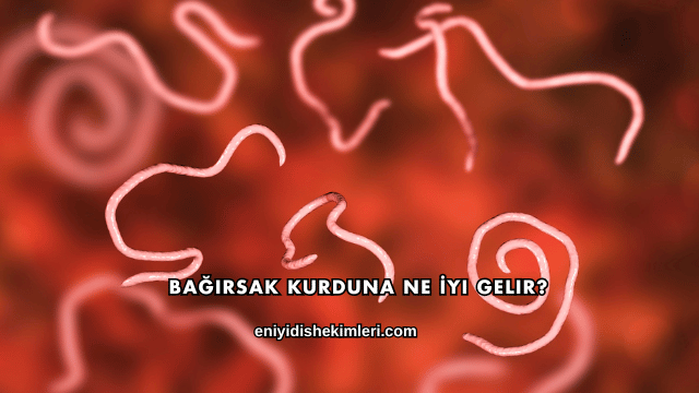 Bağırsak Kurduna Ne İyi Gelir?