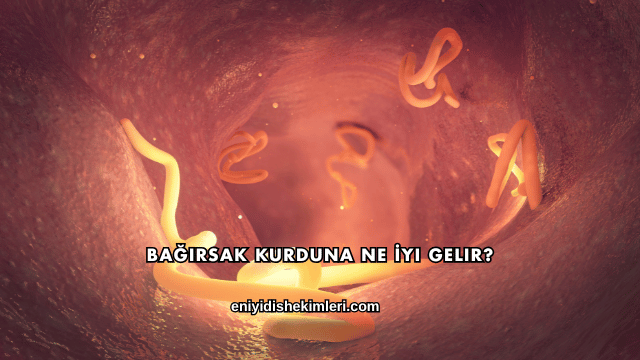 Bağırsak Kurduna Ne İyi Gelir?