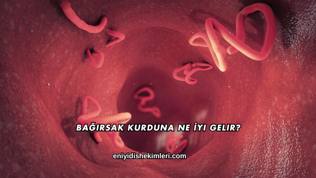 Bağırsak Kurduna Ne İyi Gelir?