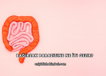 Bağırsak Parazitine Ne İyi Gelir?