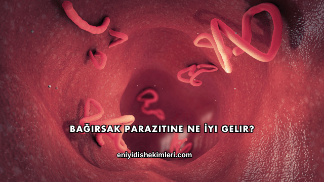 Bağırsak Parazitine Ne İyi Gelir?