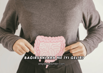 Bağırsaklara Ne İyi Gelir?