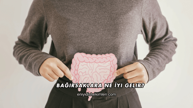 Bağırsaklara Ne İyi Gelir?