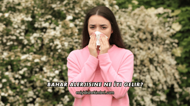 Bahar Alerjisine Ne İyi Gelir?