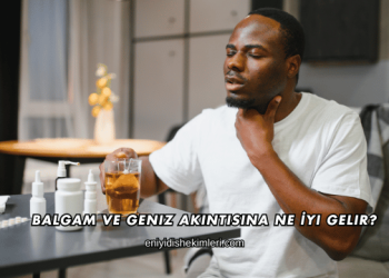 Balgam ve Geniz Akıntısına Ne İyi Gelir?