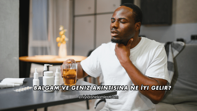 Balgam ve Geniz Akıntısına Ne İyi Gelir?