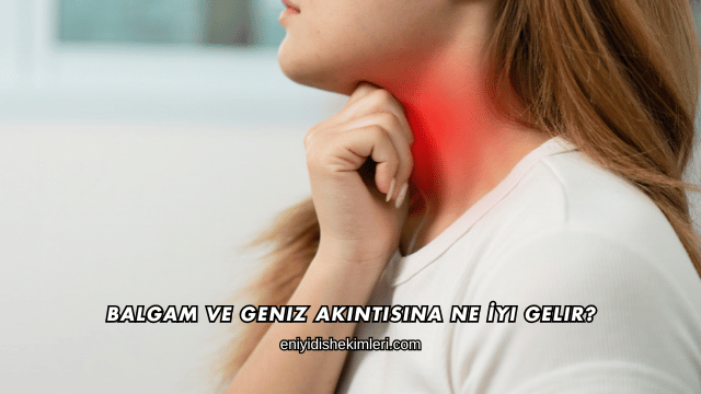 Balgam ve Geniz Akıntısına Ne İyi Gelir?