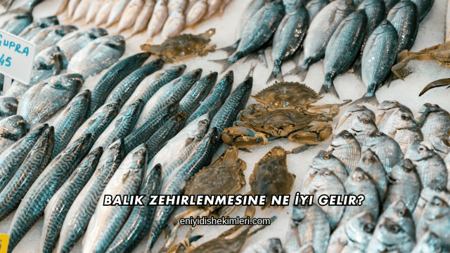 Balık Zehirlenmesine Ne İyi Gelir?