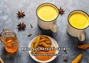 Ballı Süt Neye İyi Gelir?
