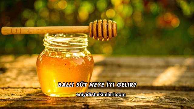 Ballı Süt Neye İyi Gelir?
