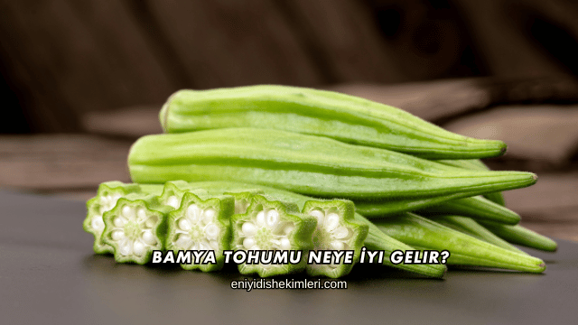 Bamya Tohumu Neye İyi Gelir?