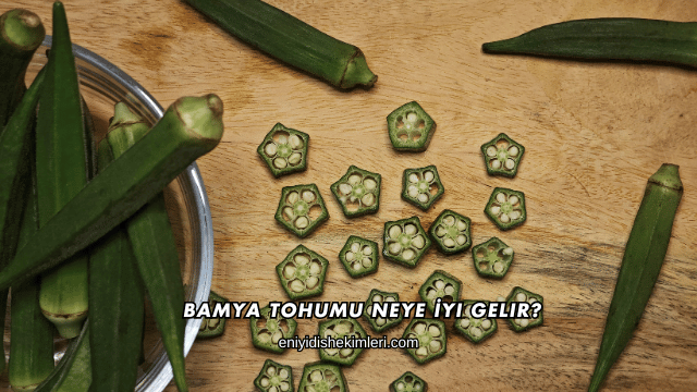 Bamya Tohumu Neye İyi Gelir?