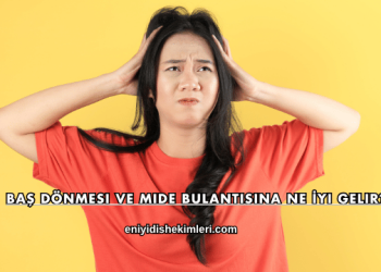 Baş Dönmesi ve Mide Bulantısına Ne İyi Gelir?