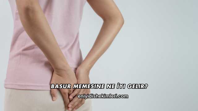 Basur Memesine Ne İyi Gelir?