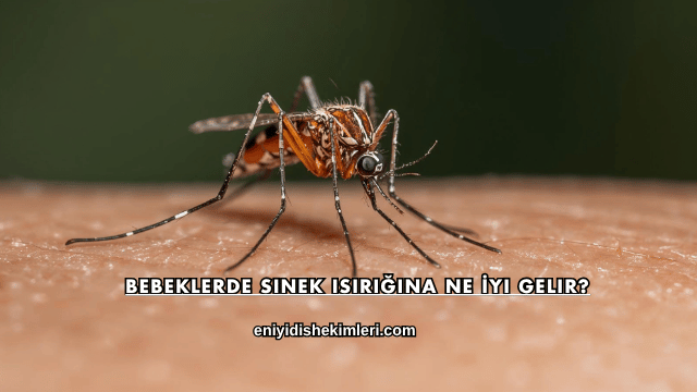 Bebeklerde Sinek Isırığına Ne İyi Gelir?