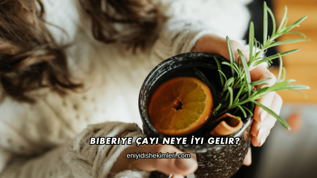 Biberiye Çayı Neye İyi Gelir?