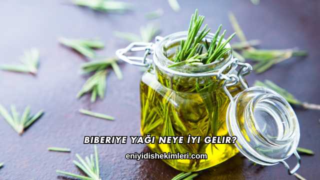 Biberiye Yağı Neye İyi Gelir?