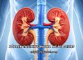 Böbrek Enfeksiyonuna Ne İyi Gelir?