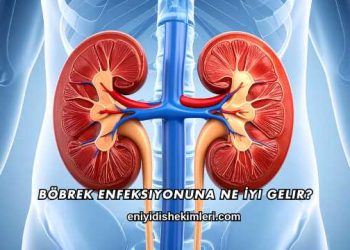 Böbrek Enfeksiyonuna Ne İyi Gelir?
