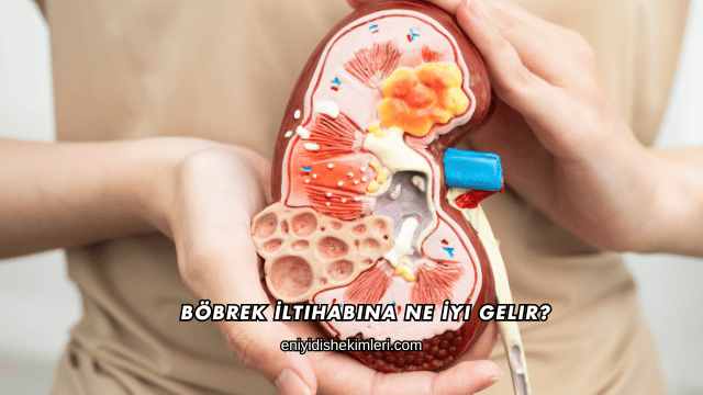 Böbrek İltihabına Ne İyi Gelir?