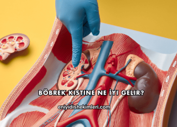 Böbrek Kistine Ne İyi Gelir?