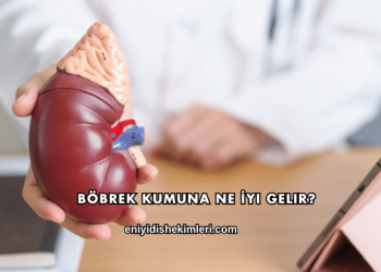 Böbrek Kumuna Ne İyi Gelir?