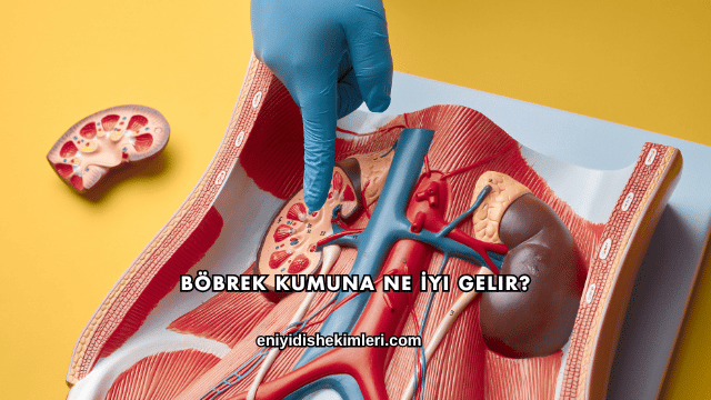 Böbrek Kumuna Ne İyi Gelir?