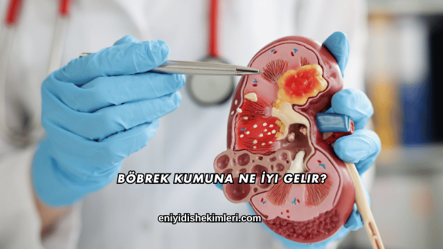 Böbrek Kumuna Ne İyi Gelir?