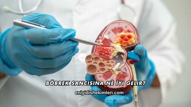 Böbrek Sancısına Ne İyi Gelir?