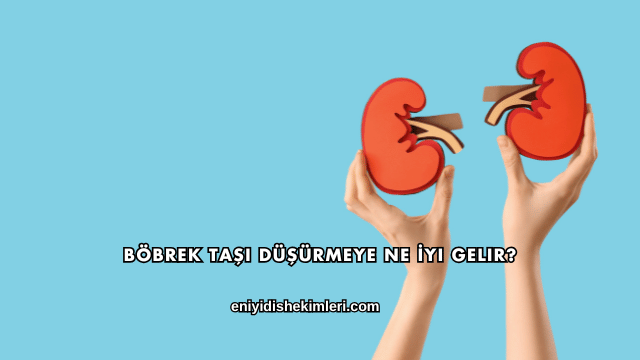 Böbrek Taşı Düşürmeye Ne İyi Gelir?