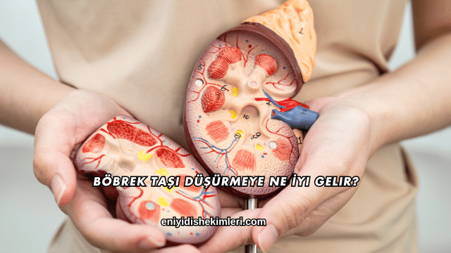 Böbrek Taşı Düşürmeye Ne İyi Gelir?