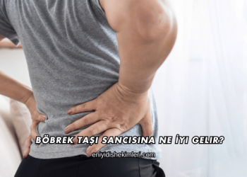 Böbrek Taşı Sancısına Ne İyi Gelir?