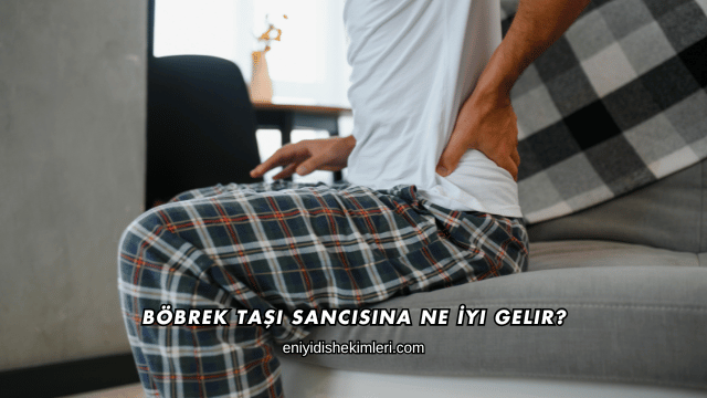 Böbrek Taşı Sancısına Ne İyi Gelir?