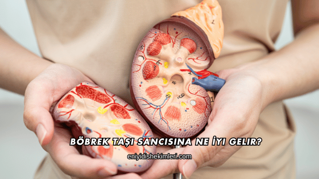 Böbrek Taşı Sancısına Ne İyi Gelir?