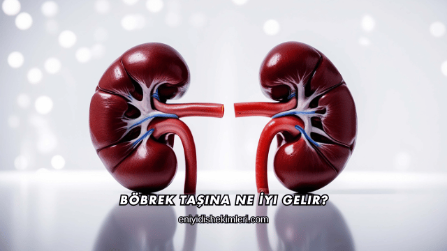Böbrek Taşına Ne İyi Gelir?