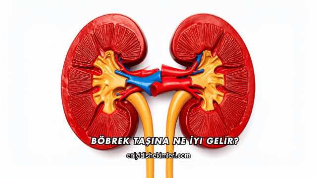 Böbrek Taşına Ne İyi Gelir?