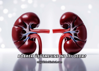 Böbrek Üşütmesine Ne İyi Gelir?