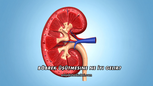 Böbrek Üşütmesine Ne İyi Gelir?
