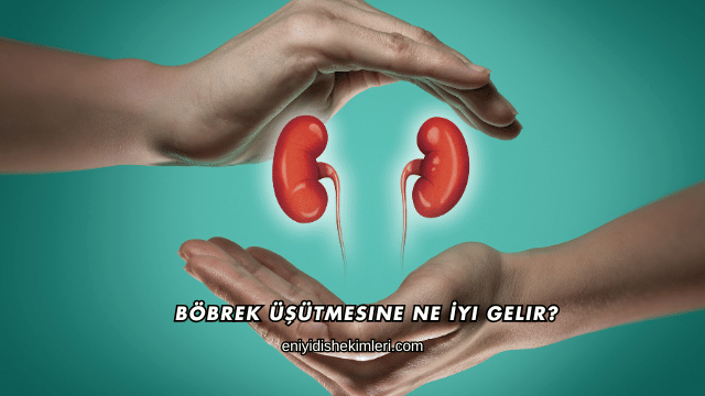 Böbrek Üşütmesine Ne İyi Gelir?