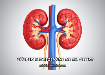 Böbrek Yetmezliğine Ne İyi Gelir?