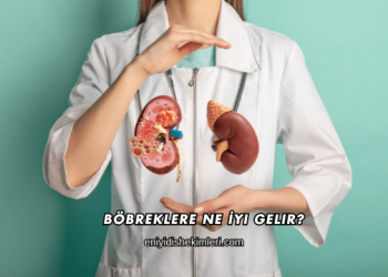 Böbreklere Ne İyi Gelir?