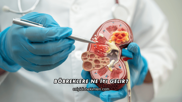 Böbreklere Ne İyi Gelir?