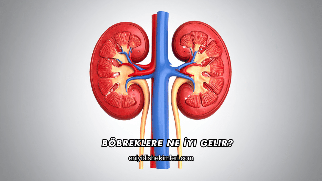 Böbreklere Ne İyi Gelir?