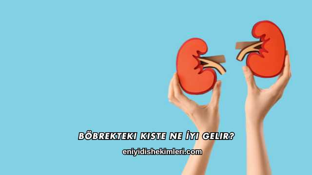 Böbrekteki Kiste Ne İyi Gelir?