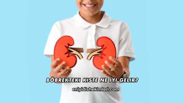 Böbrekteki Kiste Ne İyi Gelir?