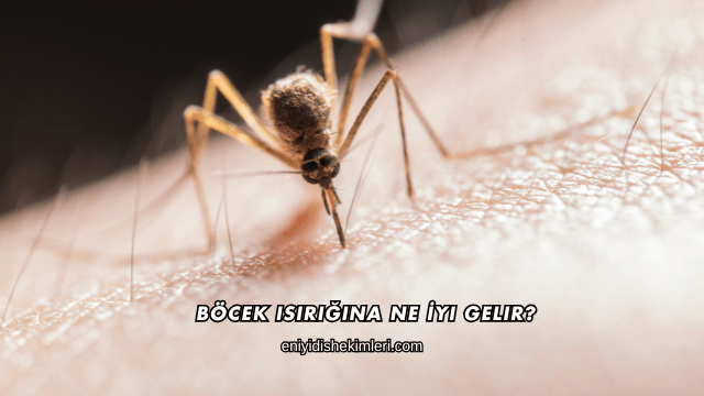 Böcek Isırığına Ne İyi Gelir?